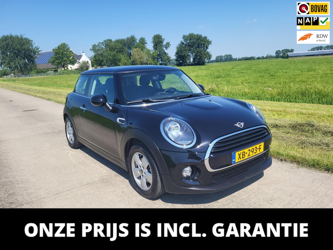 MINI Cooper - Mini 1.5 78dkmNAP navi 15"LMV - AutoWereld.nl