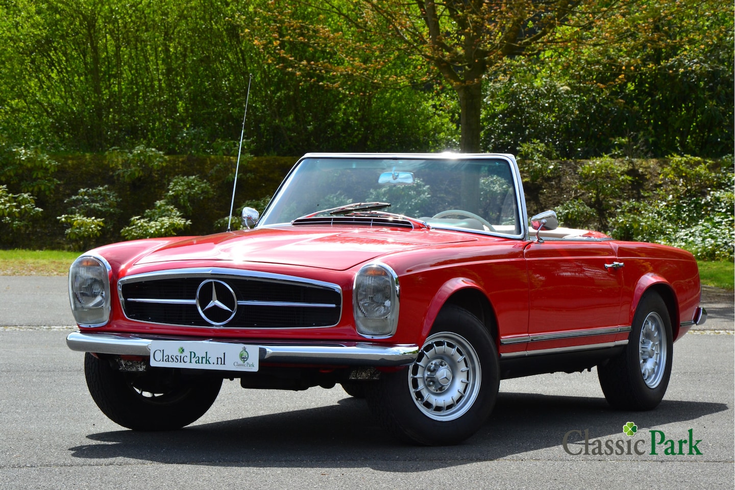 Mercedes-Benz SL-klasse Cabrio - 230 Pagode - AutoWereld.nl