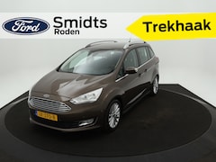 Ford Grand C-Max - Ecoboost 125PK Titanium | Trekhaak | Elektr. achterklep | ISOFIX | Voorruitverwarming |