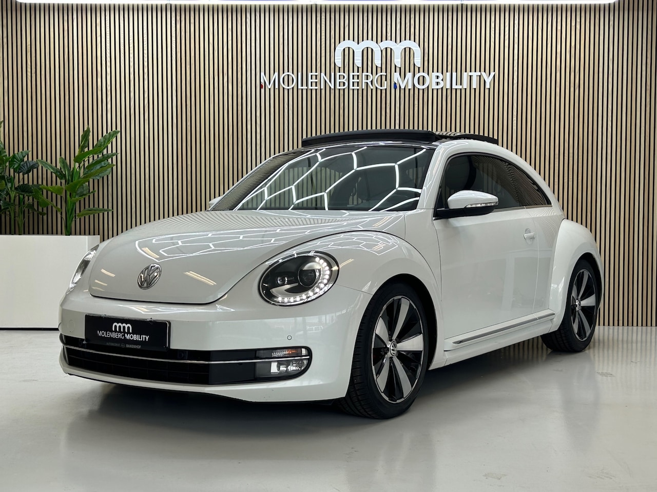 Volkswagen Beetle - 1.4 TSI Sport 1.4 TSI Sport - AutoWereld.nl