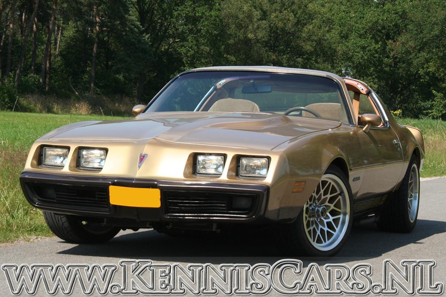 Pontiac Firebird - 1981 Formula 400 Turbo T-roof Coupe Coupe - AutoWereld.nl