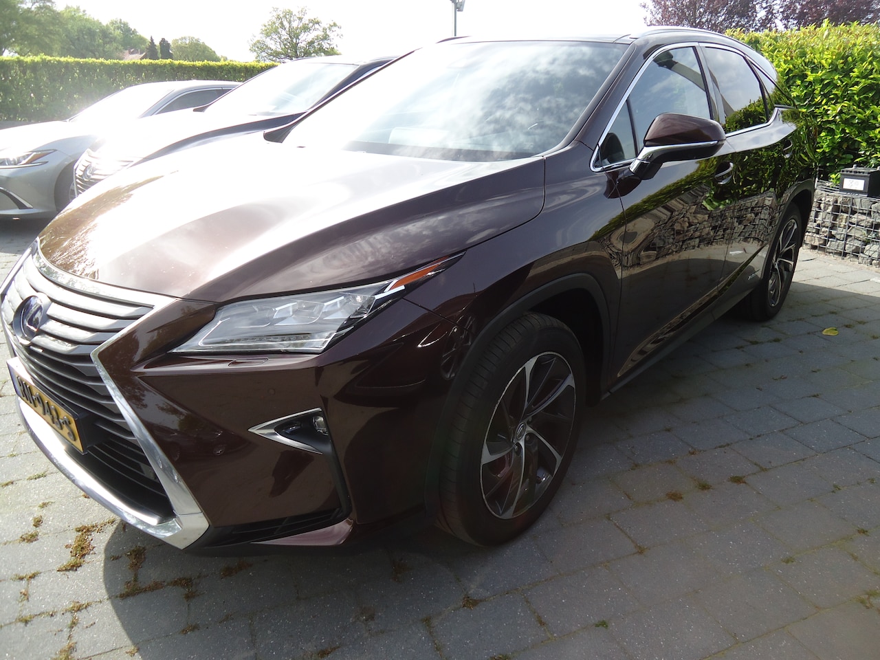 Lexus RX - 450h 4WD President Line GERESERVEERD