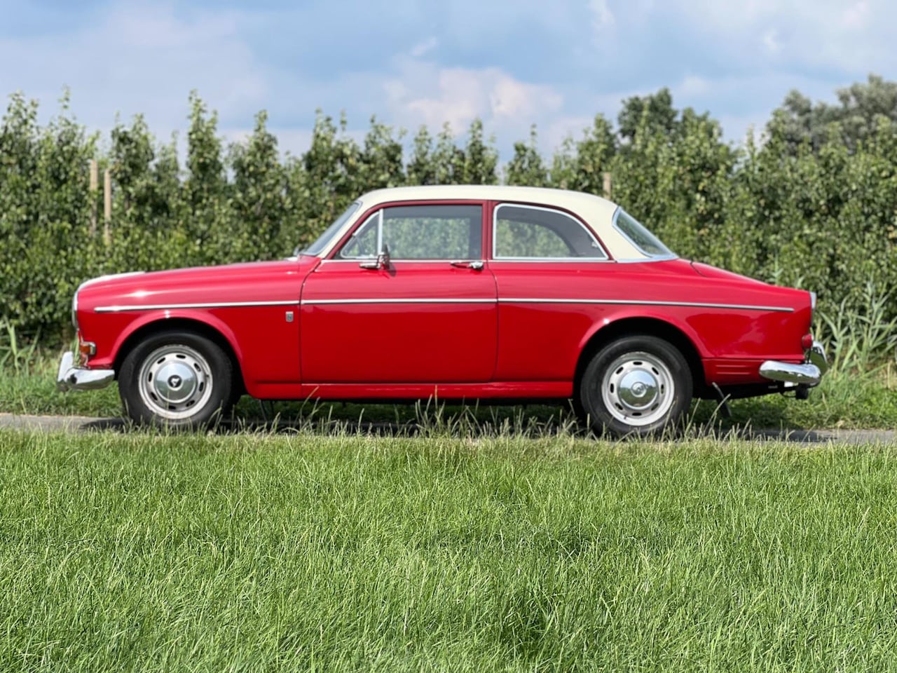 Volvo Amazon - 131, LPG, Simons Uitlaat, laat model, leuke instapper - AutoWereld.nl