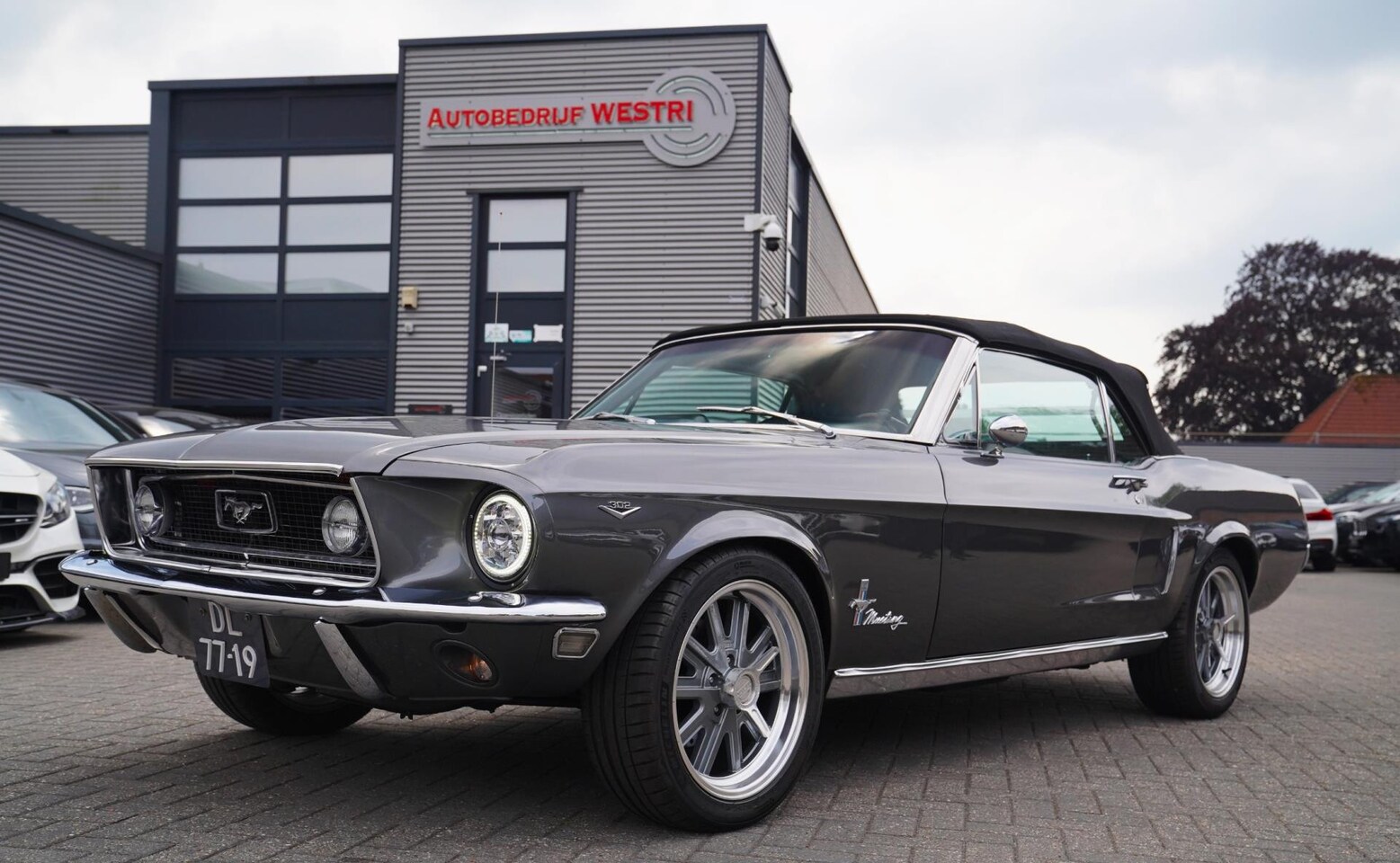 Ford Mustang Convertible - 5.0 V8 | Mustang Mach-E | Body off gerestaureerd / Documentatie aanwezig | Shelby Cobra sp - AutoWereld.nl