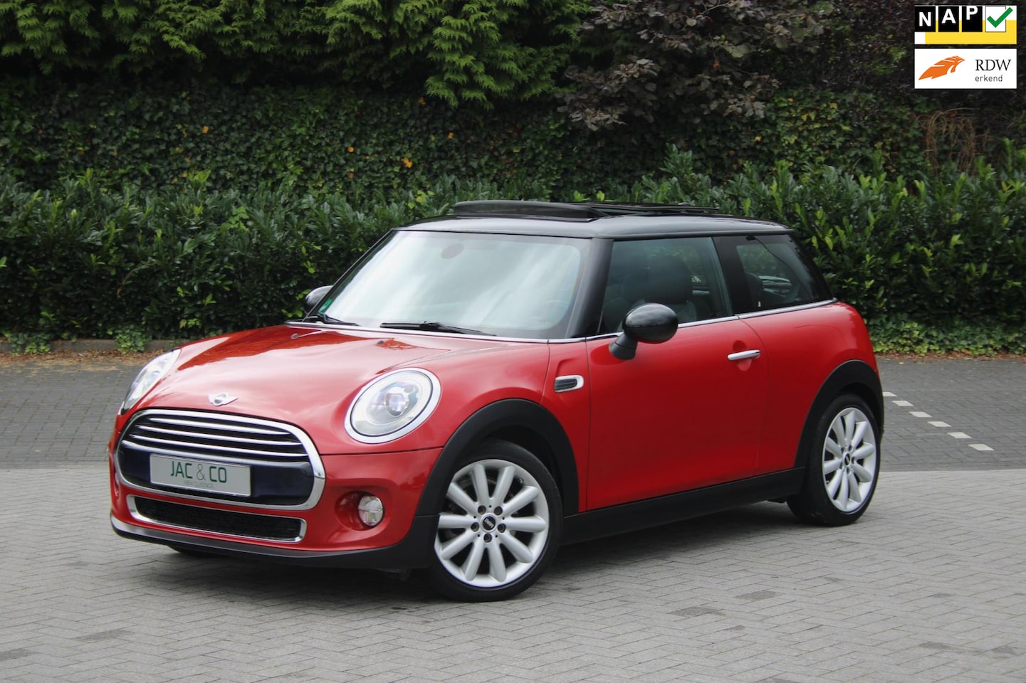 MINI Cooper - 1.5 First Born Edition - AutoWereld.nl