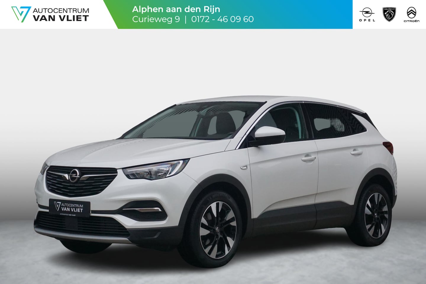 Opel Grandland X - 1.2 Turbo Business Executive Winterpakket | Adap. Cruise Control | Achteruitrijcamera | El - AutoWereld.nl