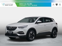 Opel Grandland X - 1.2 Turbo Business Executive Winterpakket | Adap. Cruise Control | Achteruitrijcamera | El