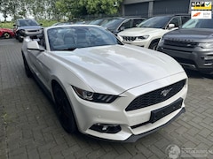 Ford Mustang - 2.3 ECOBOOST CABRIO AUTOMAAT SHELLBY