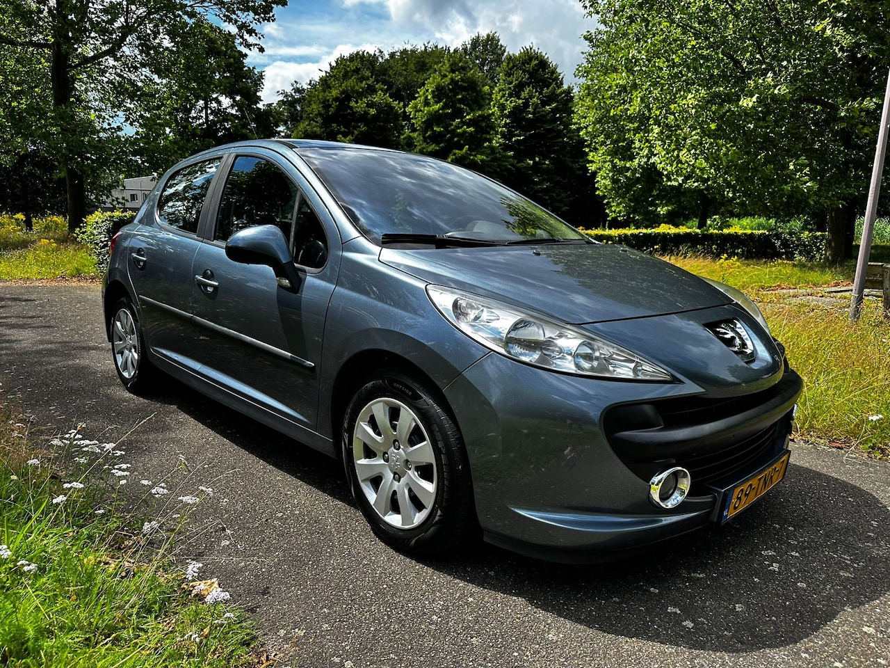 Peugeot 207 - 1.6 VTi XS Pack - AutoWereld.nl