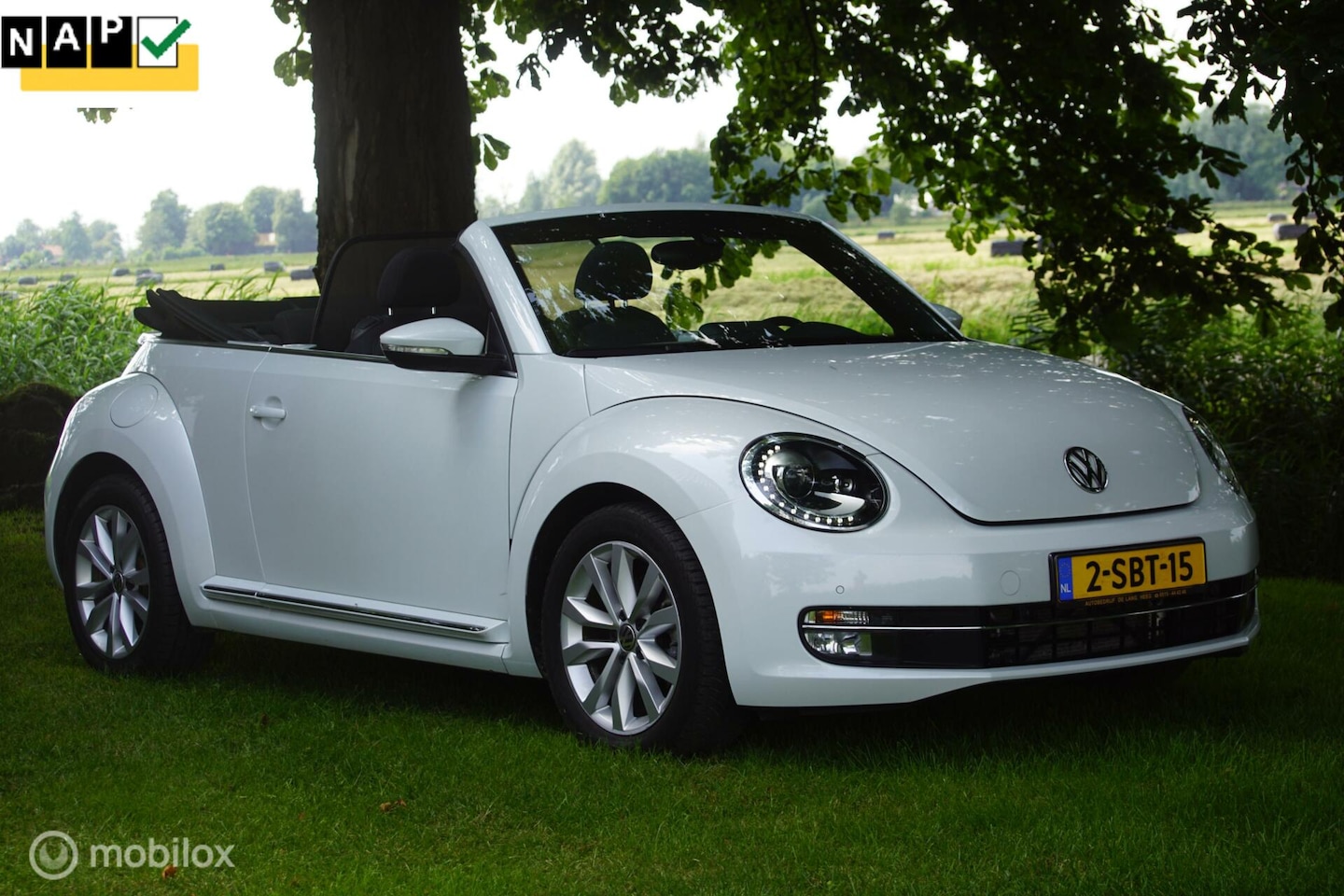 Volkswagen Beetle Cabriolet - 1.2 TSI Design BlueMotion|NAP ! - AutoWereld.nl