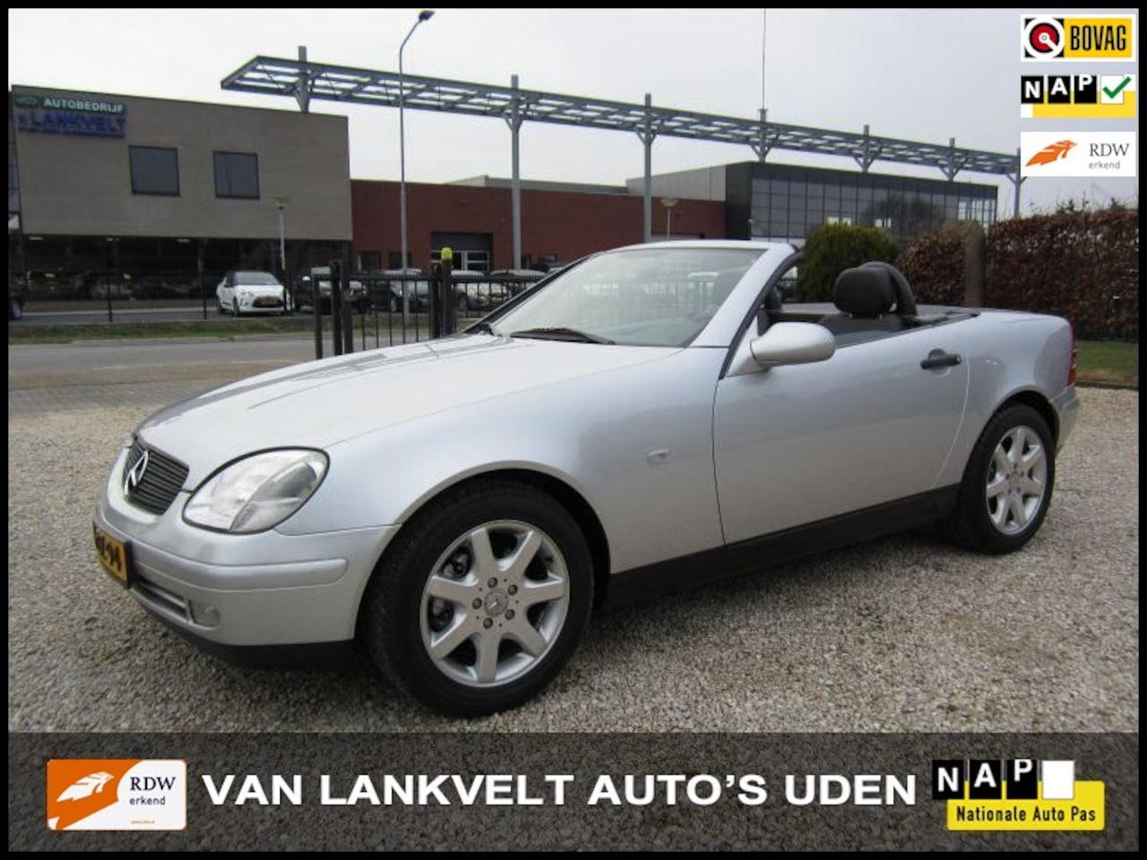 Mercedes-Benz SLK-klasse - 200 SLK cabriolet Leder 6244 km - AutoWereld.nl