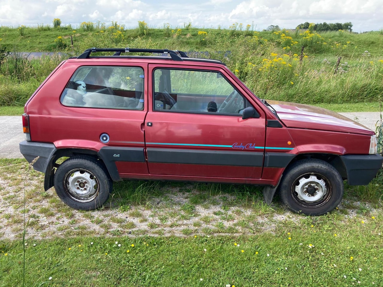 Fiat Panda - 1.1 i.e. 4x4 - AutoWereld.nl