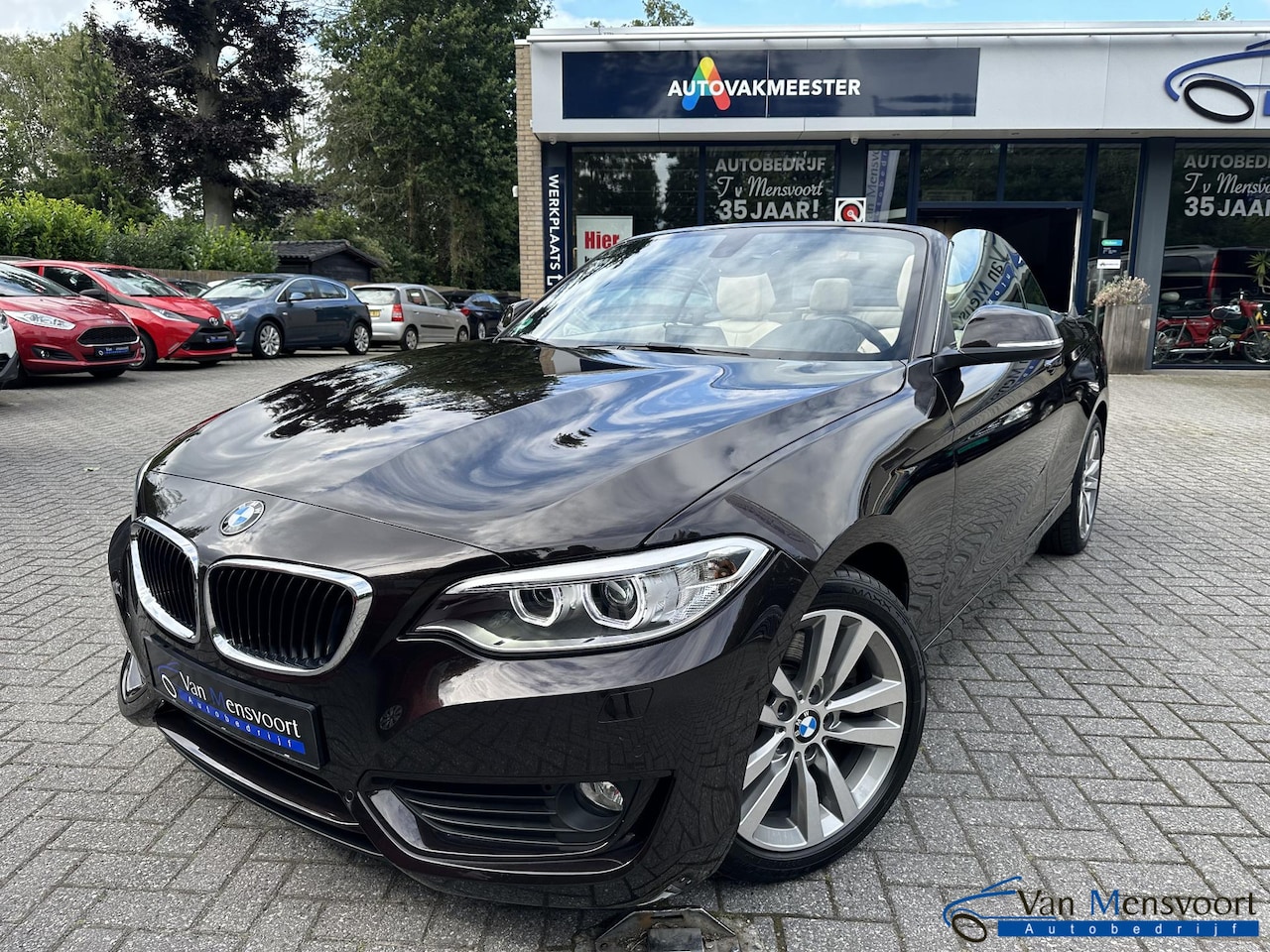 BMW 2-serie Cabrio - 230i Automaat 252PK Executive 17dKM!|Navi|Keyless|Leder|Xenon - AutoWereld.nl