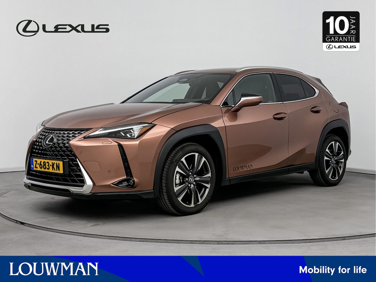 Lexus UX - 300h Luxury Line 300h Luxury Line - AutoWereld.nl