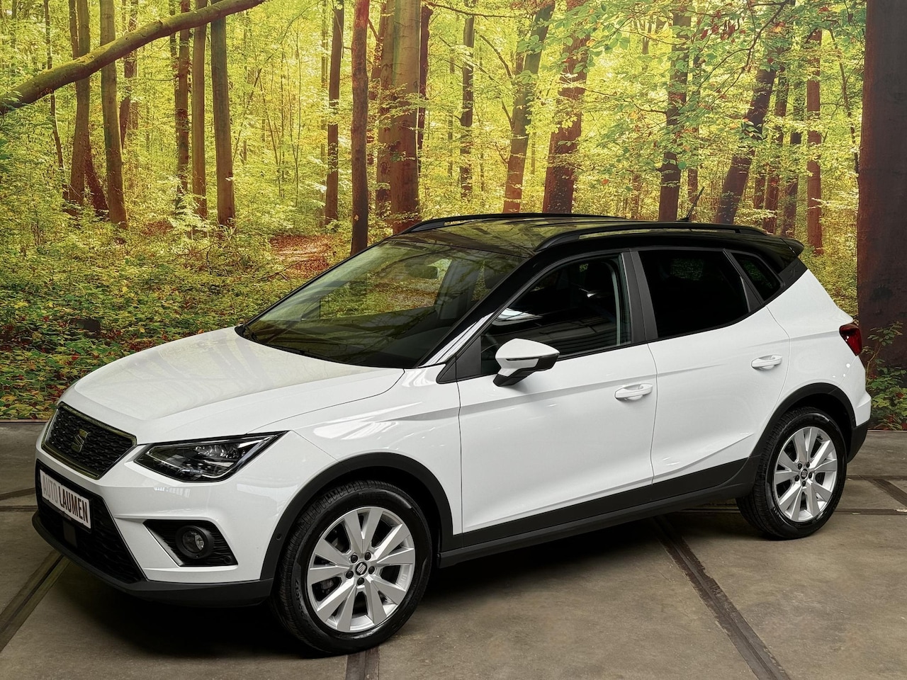 Seat Arona - 1.0 TGI Style Business Intense Aardgas Stoelverwarming Navi LED 17 Inch PDC DAB Apple Carp - AutoWereld.nl