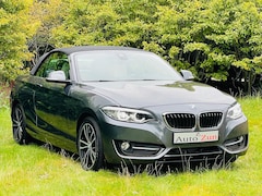 BMW 2-serie Cabrio - 230i High Executive/Navi/Leder(Bij 2020)