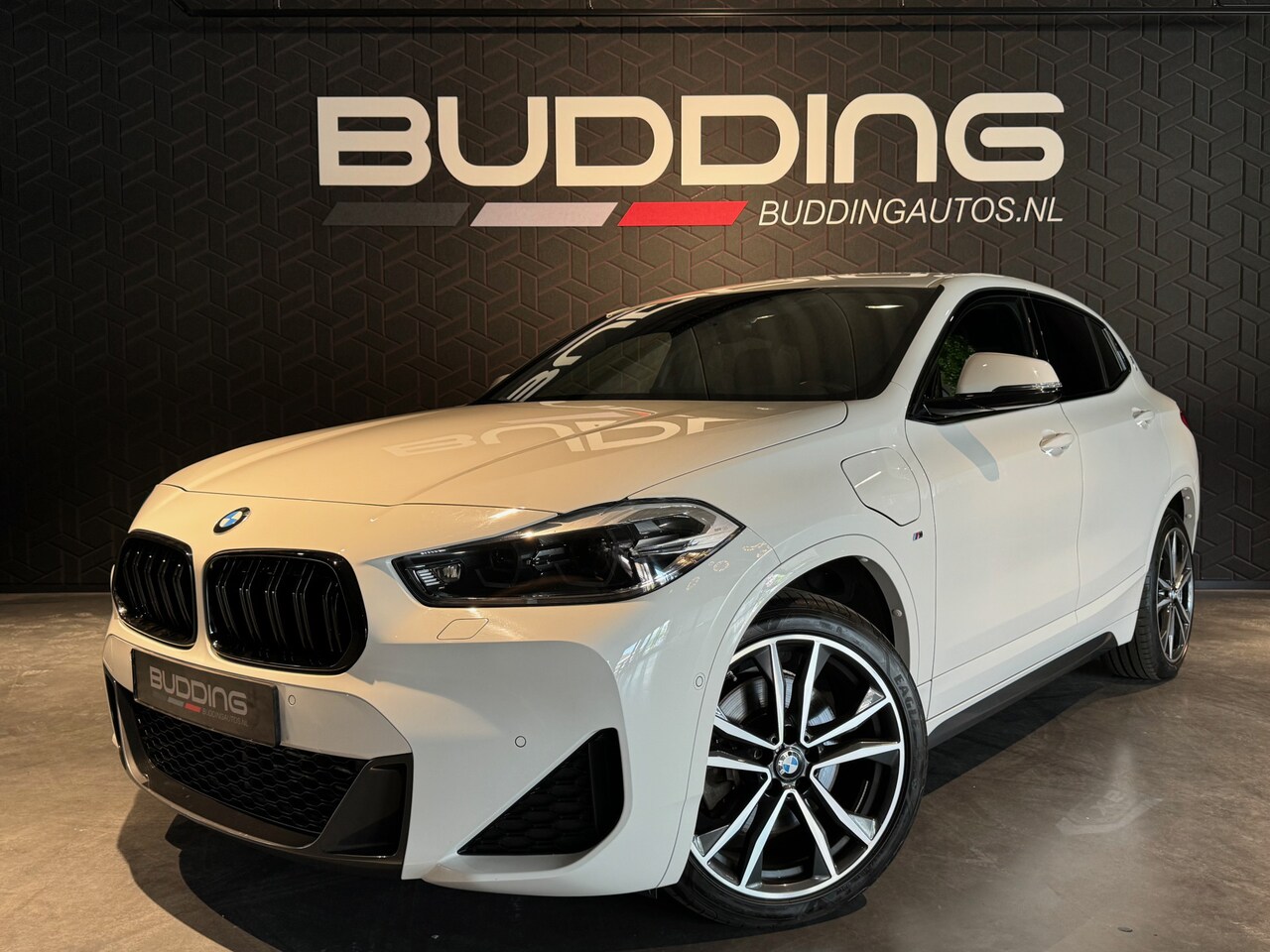 BMW X2 - xDrive25e High Exe | M-sport | Driving Assist + - AutoWereld.nl