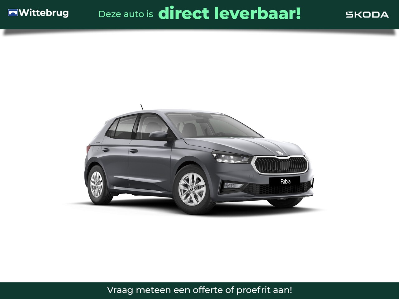 Skoda Fabia - 1.0 TSI Selection 15 inch LM - AutoWereld.nl