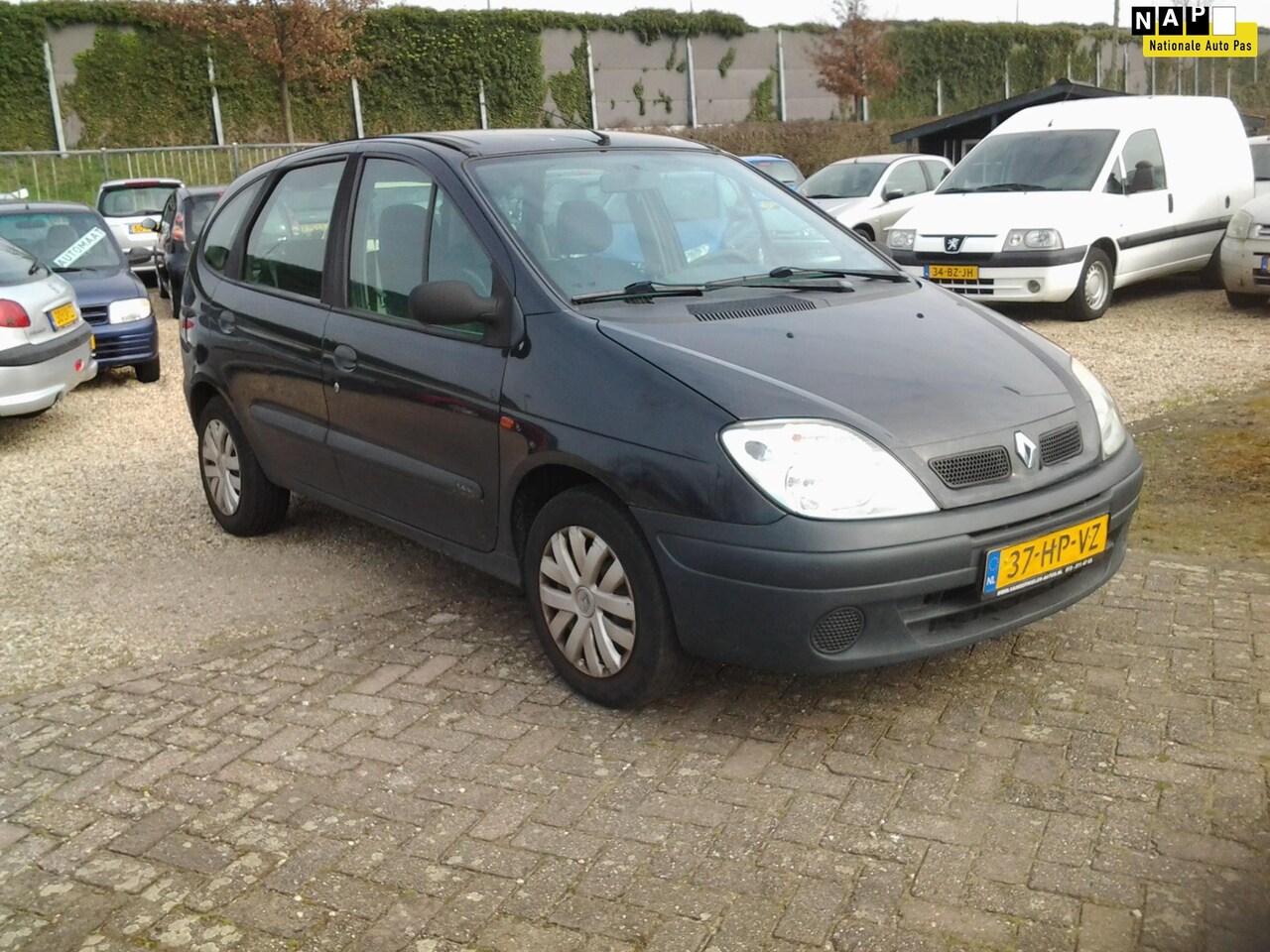 Renault Scénic - 1.4-16V Air Trekhaak /Zeer lux,s Weinig km 176000 - AutoWereld.nl