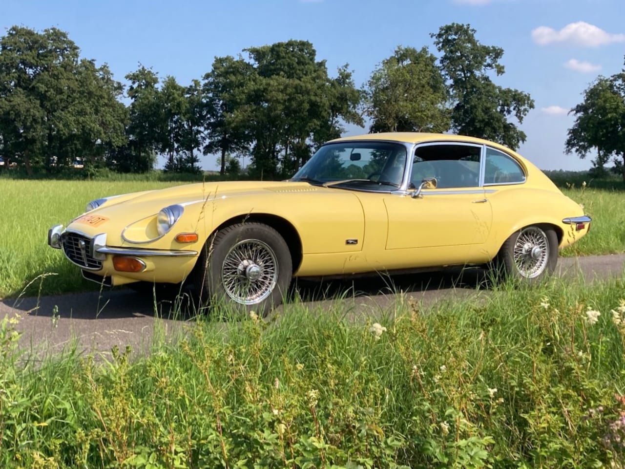 Jaguar E-type - Series 3 Coupe V12 - AutoWereld.nl