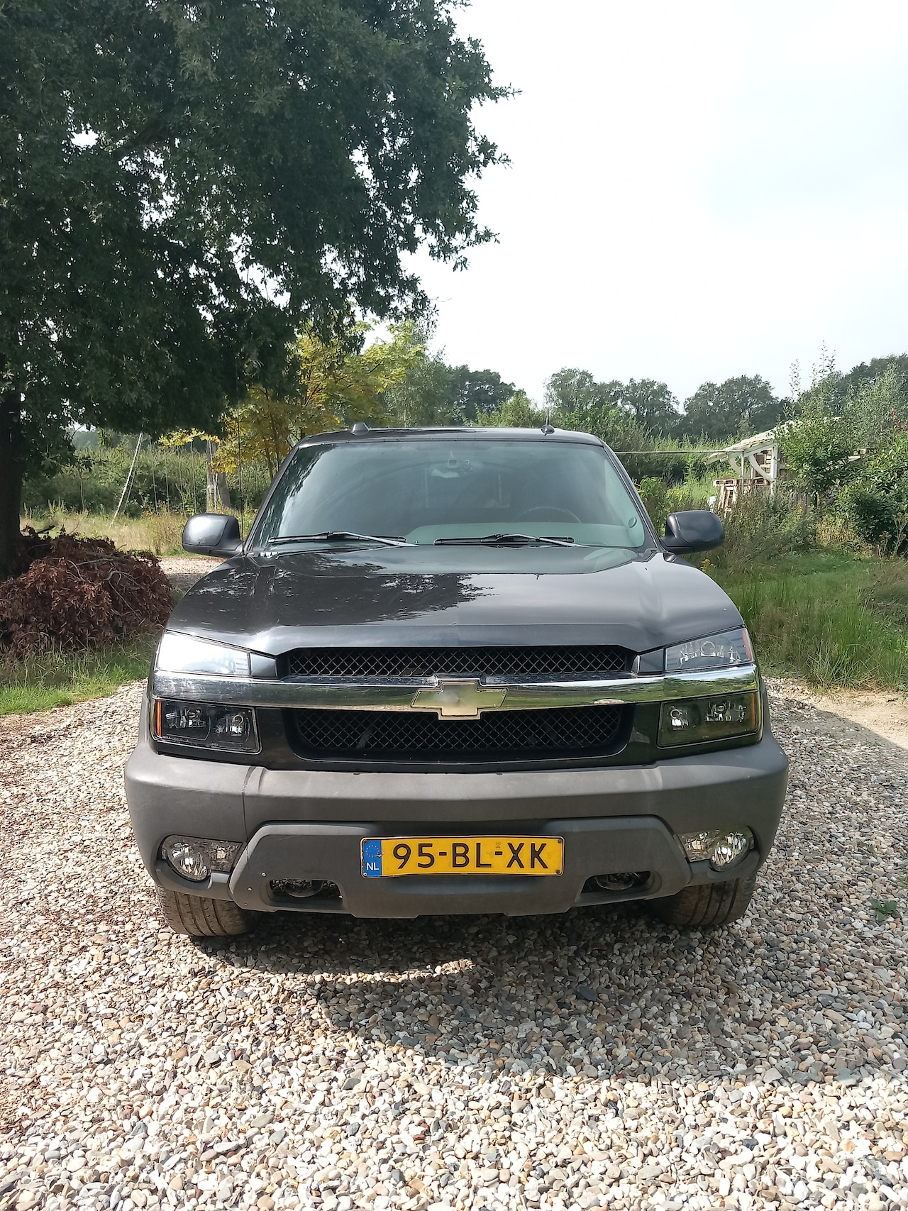 Chevrolet Avalanche - 5.3 4WD 1500 - AutoWereld.nl