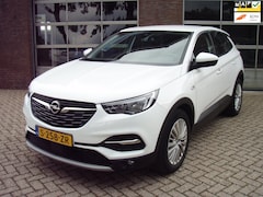 Opel Grandland X - TREKHAAK 1.2 Turbo Business Executive