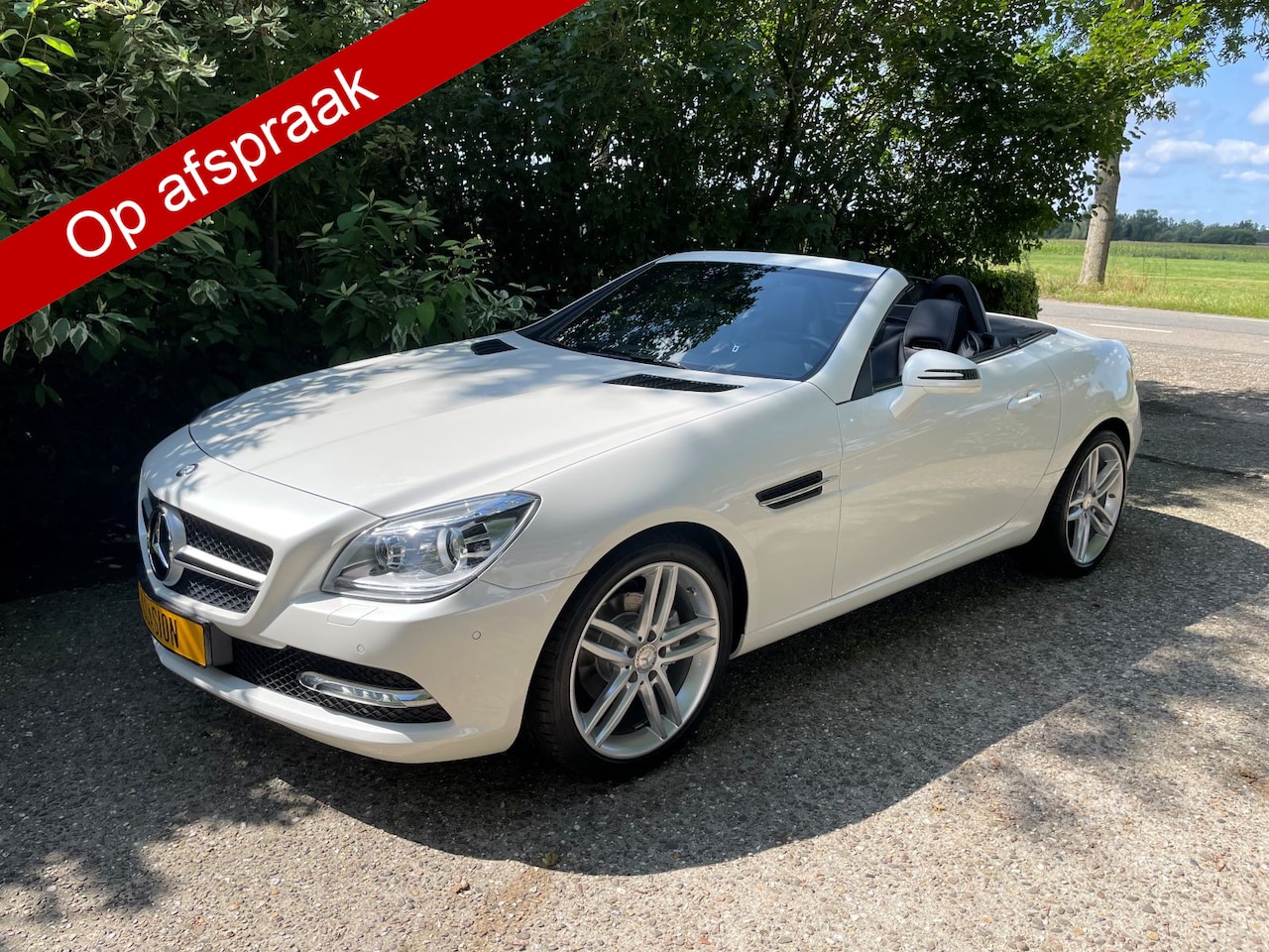 Mercedes-Benz SLK-klasse - 200 Roadster / Panorama dak / Speciale Diamond White Bright lak (designlak) - AutoWereld.nl