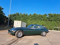 Jaguar E-type - 5.3 V12 2+2 Series 3; Automaat