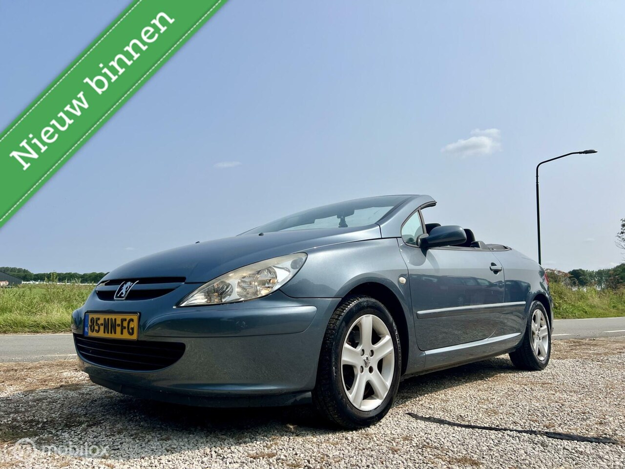 Peugeot 307 CC - 2.0-16V 2.0-16V, BJ 2004, Airco, APK, Inruiler - AutoWereld.nl