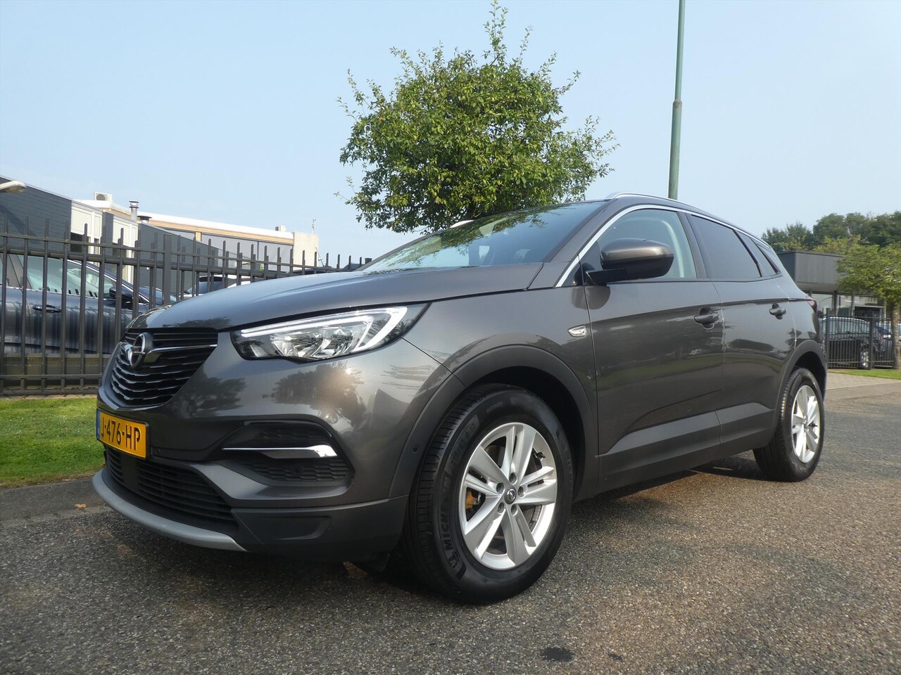 Opel Grandland X - 1.2 Turbo 130pk S&S Business Executive - AutoWereld.nl