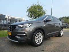 Opel Grandland X - 1.2 Turbo 130pk S&S Business Executive