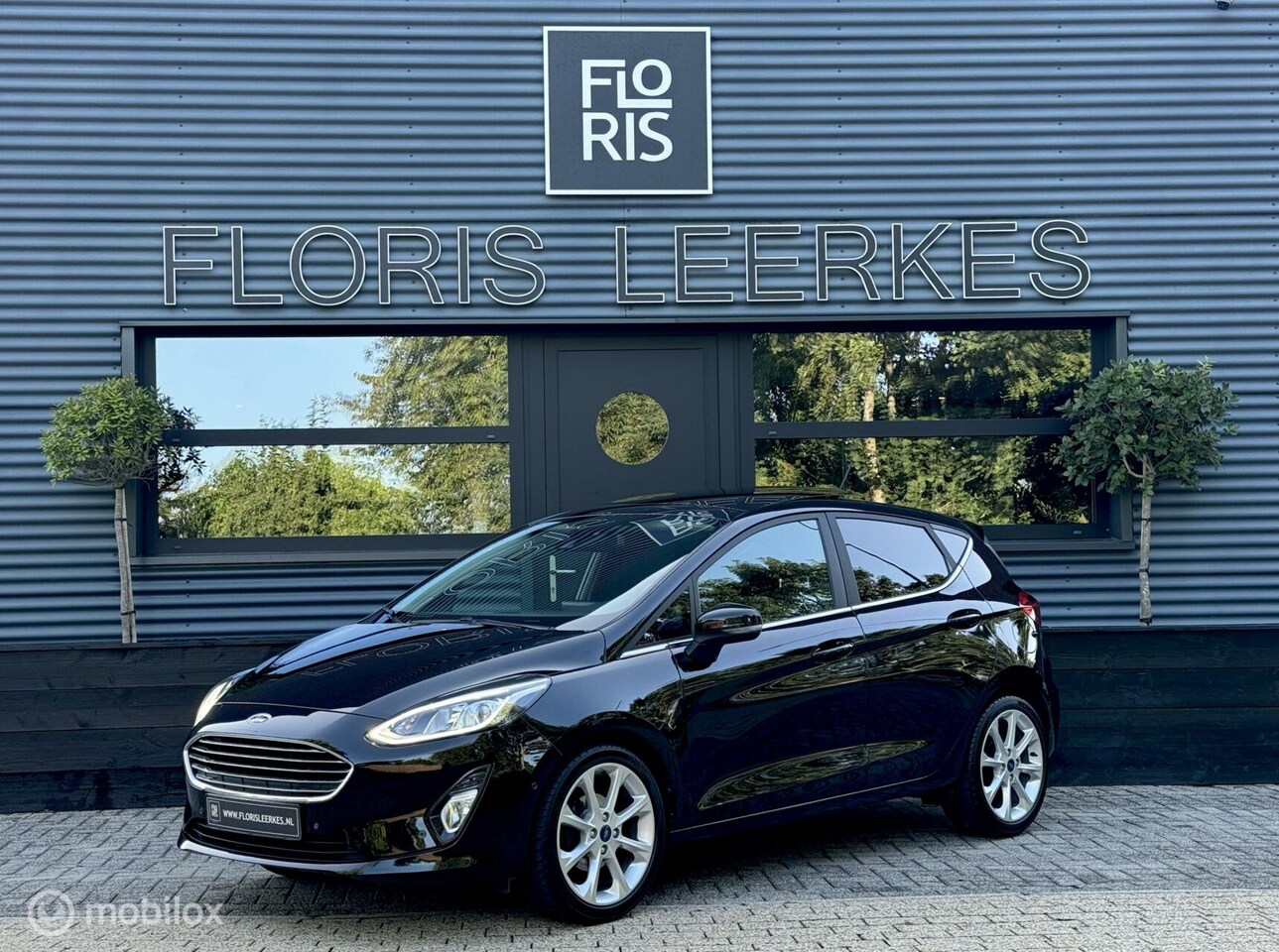 Ford Fiesta - 1.0 | EcoBoost | Titanium | Pano Dak | 5 Deurs - AutoWereld.nl