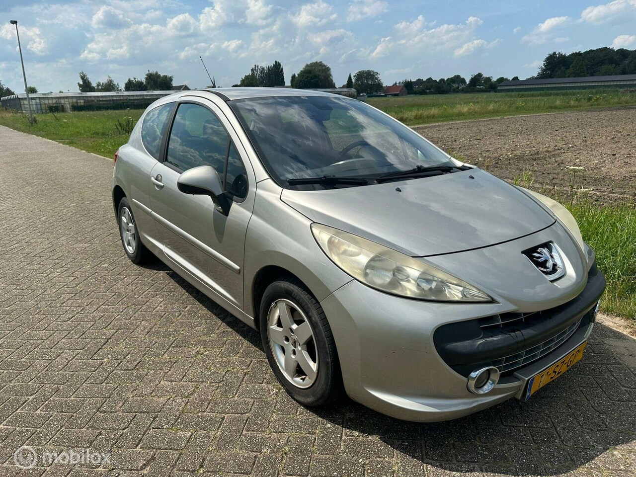 Peugeot 207 - 1.4-16V XS Pack 1.4-16V XS Pack - AutoWereld.nl