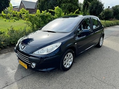 Peugeot 307 - 1.6-16V Premium