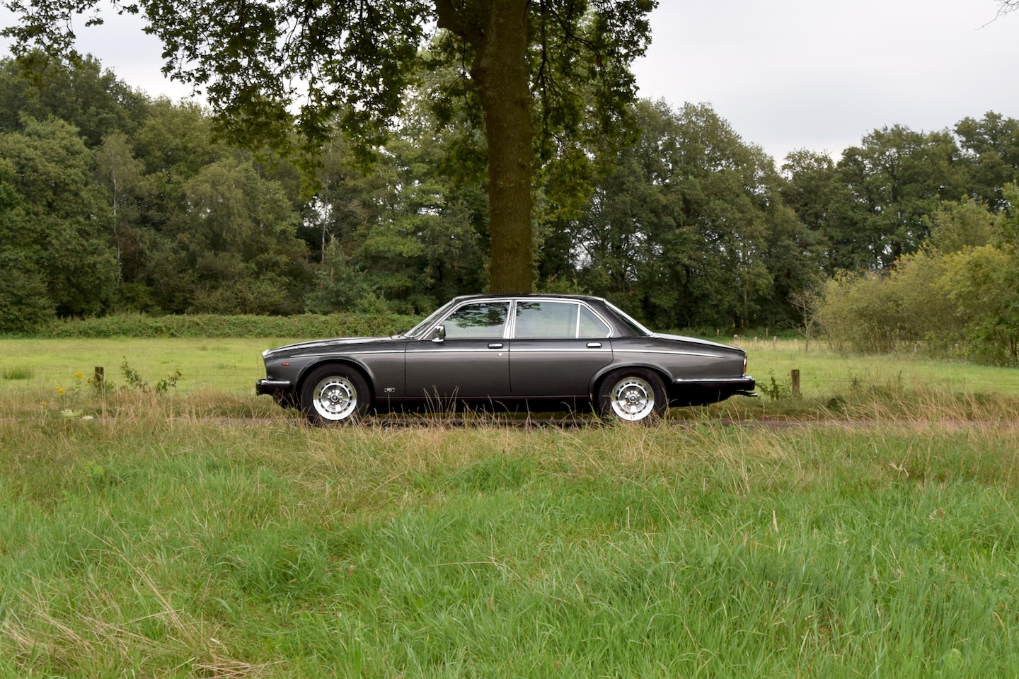 Daimler Double Six - 5.3 V12 VandenPlas HE – Regent Grey Metallic – 170491km – Y1986 - AutoWereld.nl