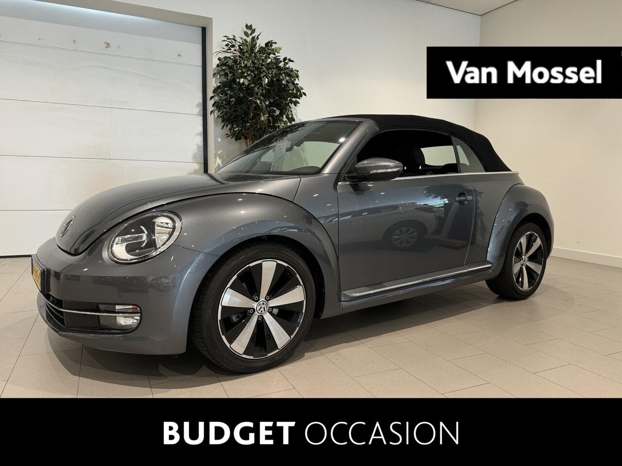 Volkswagen Beetle Cabriolet - 1.2 TSI Design 105 PK DSG | Automaat | Parkeersensoren | Kap/Vouwdak Elektrisch | Cruise C - AutoWereld.nl