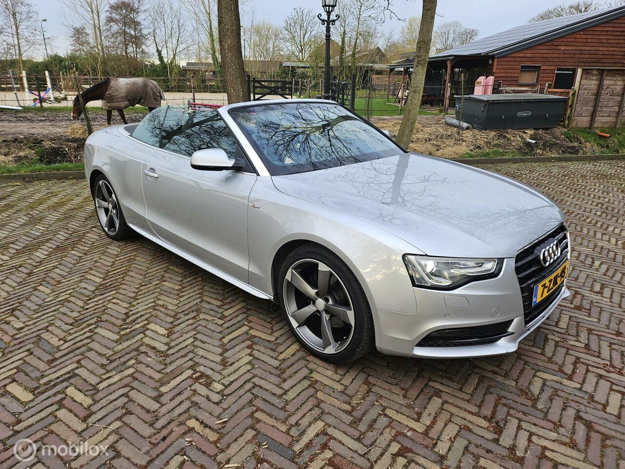 Audi A5 Cabriolet - 1.8 TFSI Pro Line S 1.8 TFSI Pro Line S - AutoWereld.nl