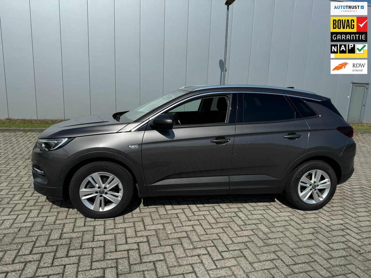 Opel Grandland X - 1.2 Turbo Business Executive 1.2 Turbo Business Executive, trekhaak - AutoWereld.nl