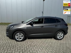 Opel Grandland X - 1.2 Turbo Business Executive, trekhaak