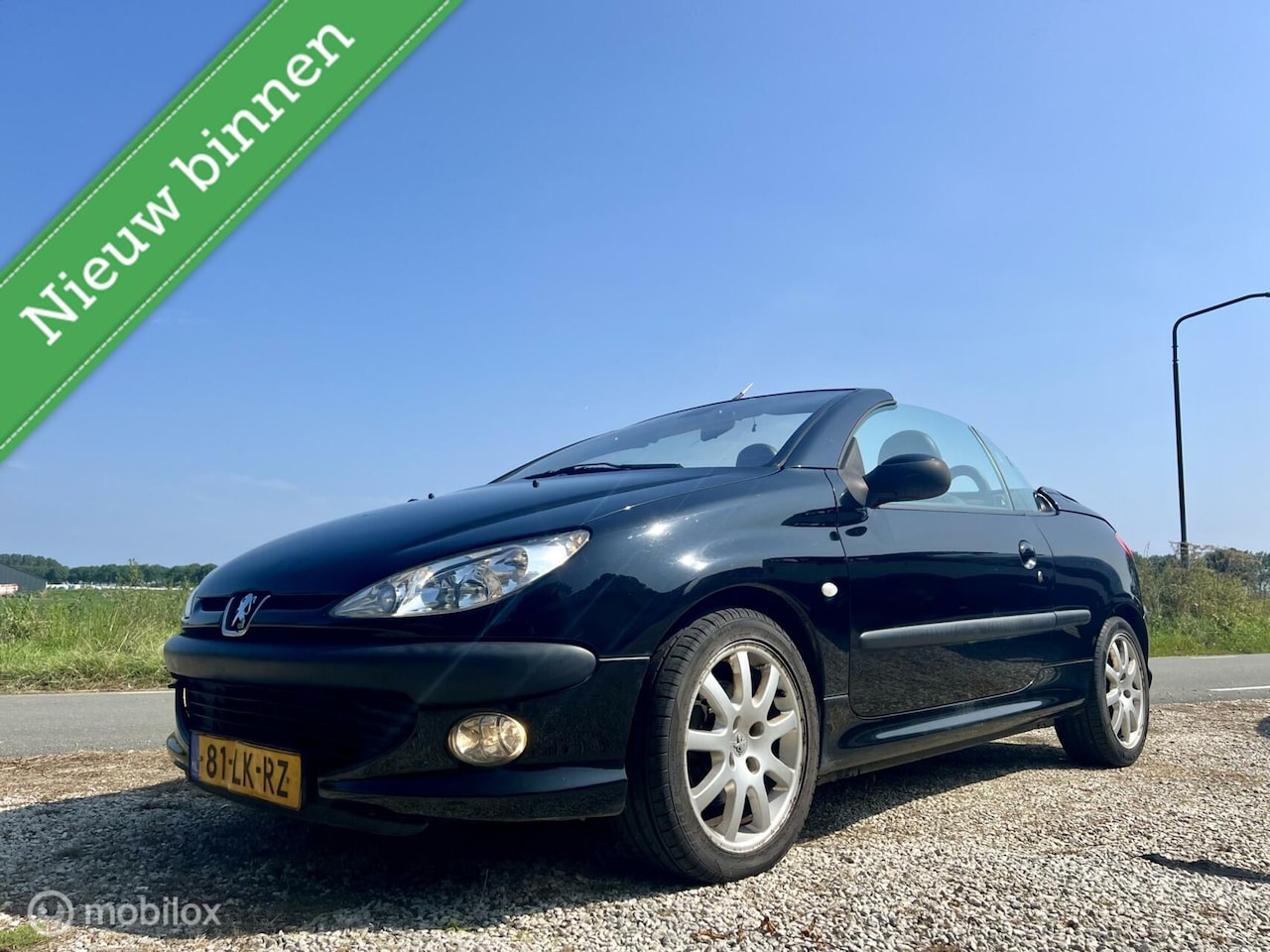 Peugeot 206 CC - 2.0-16V Roland Garros 2.0-16V Roland Garros, BJ 2003, Leer, Airco - AutoWereld.nl