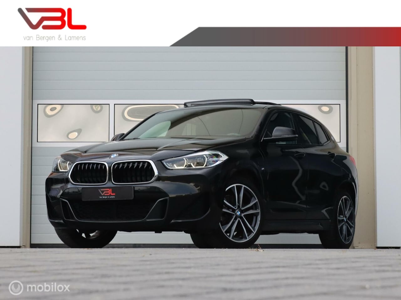 BMW X2 - xDrive25e High Executive M-sport|Panoramadak|Head-Up - AutoWereld.nl