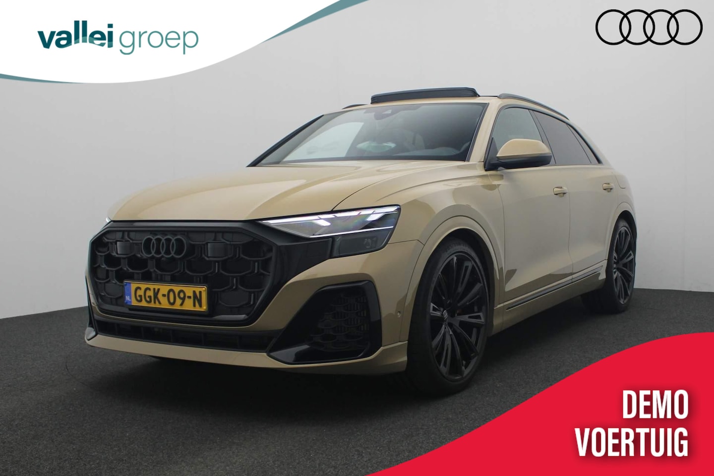 Audi Q8 - 55 TFSI e quattro Pro Line S Assistentiepakket parking plus  | Glazen panoramadak | Trekha - AutoWereld.nl