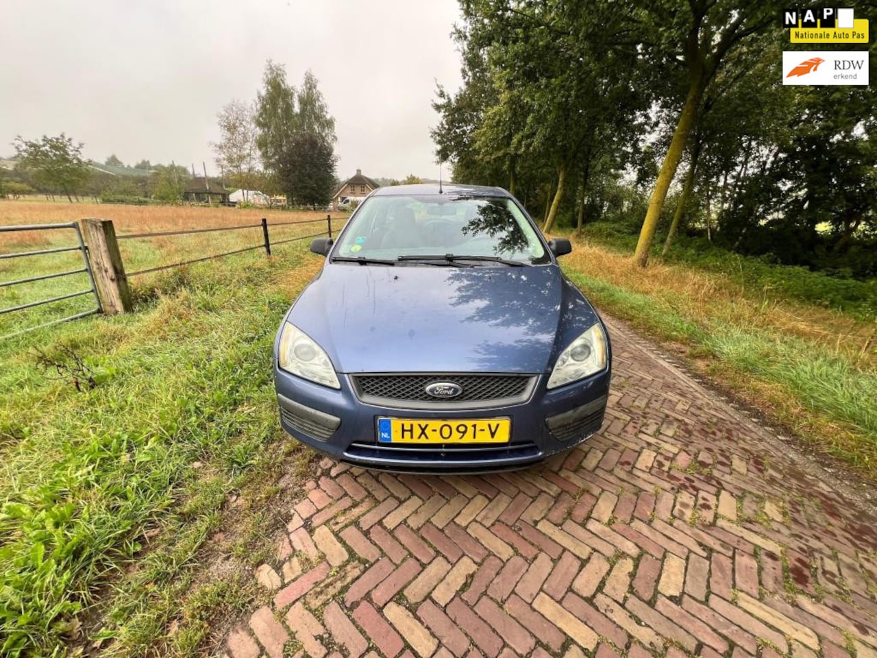 Ford Focus Wagon - 1.6-16V First Edition 1.6-16V First Edition - AutoWereld.nl