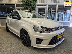 Volkswagen Polo - 1.4 TSI GTI DSG WRC PACK