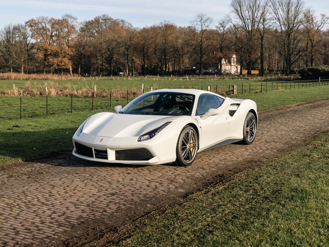 Ferrari 488 - 3.9 GTB HELE 3.9 GTB HELE, Daytona, Carbon, JBL New Ferrari Service - AutoWereld.nl