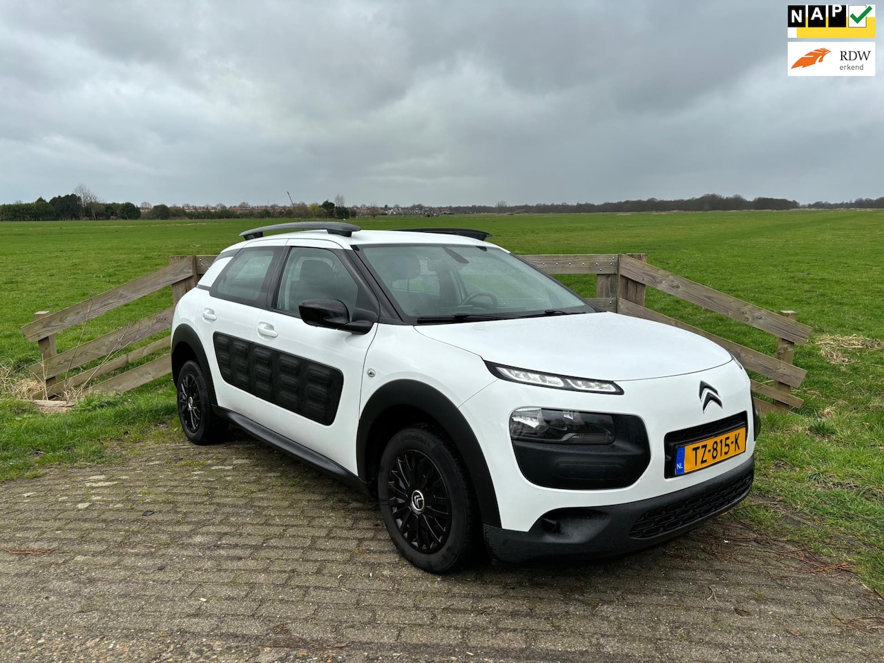 Citroën C4 Cactus - 1.2 PureTech Business 1.2 PureTech Business, AUTOMAAT - AutoWereld.nl