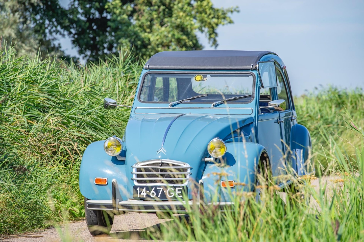 Citroën 2 CV - AZ - AutoWereld.nl