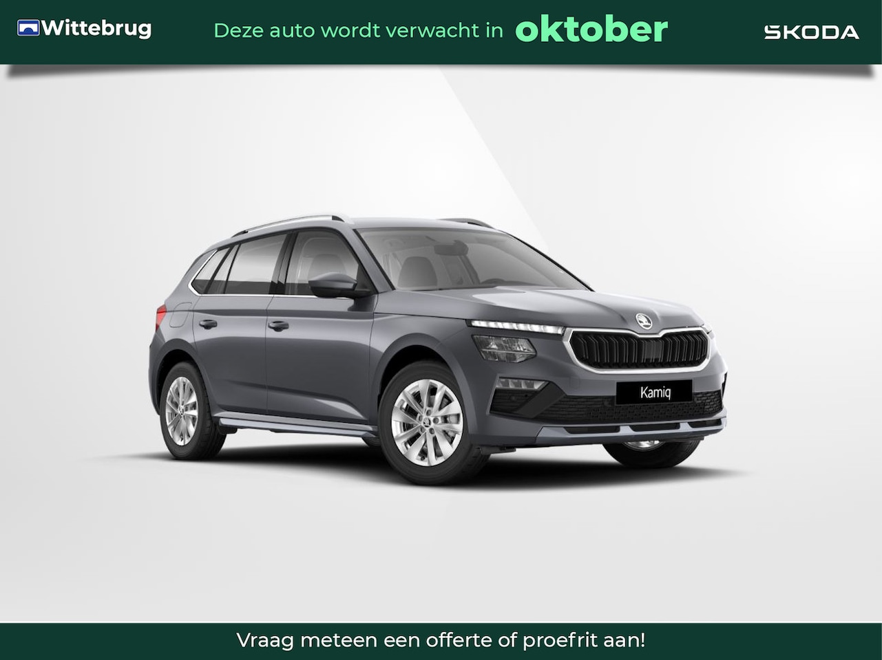 Skoda Kamiq - 1.0 TSI Business Edition Licht en zicht pakket / Achteruitrijcamera / Sensoren voor en ach - AutoWereld.nl