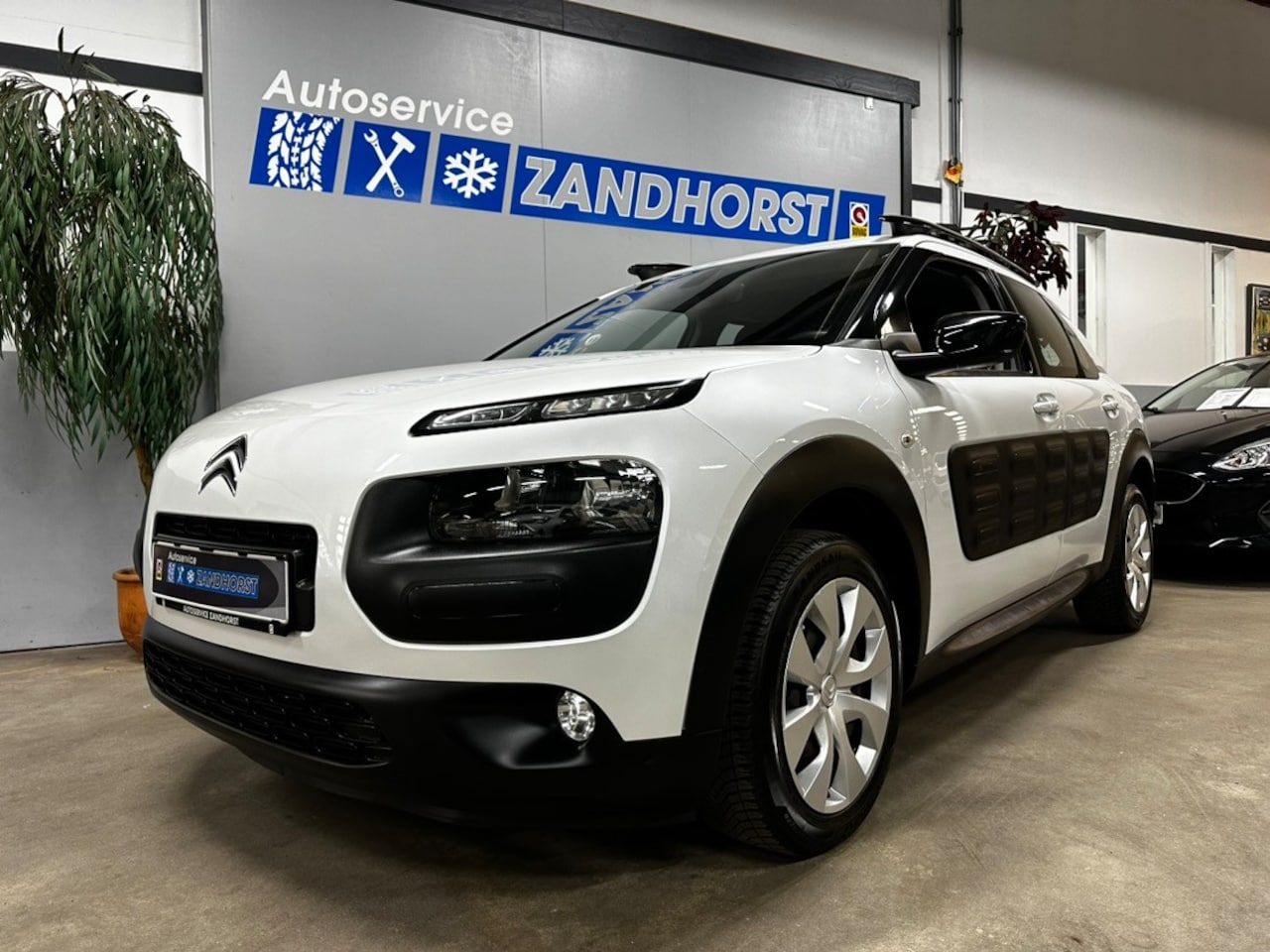 Citroën C4 Cactus - 1.2 PureTech Business 1.2 PureTech Business - AutoWereld.nl