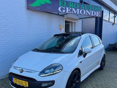 Fiat Punto Evo - 1.3 M-Jet Dynamic l Xenon l Panorama dak l